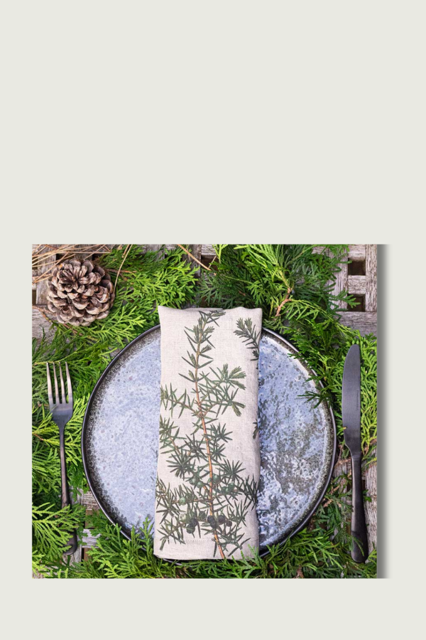 Lanena salveta Conifer Trees