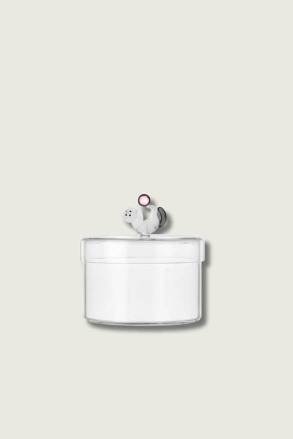 Doza Cat With Pink Ball