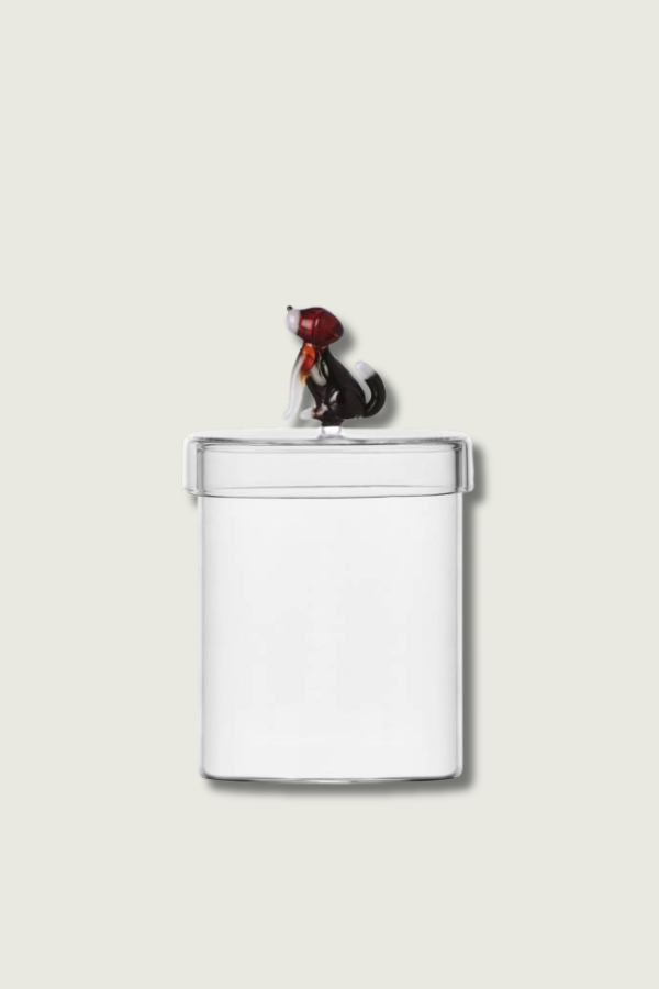 Doza English Foxhound